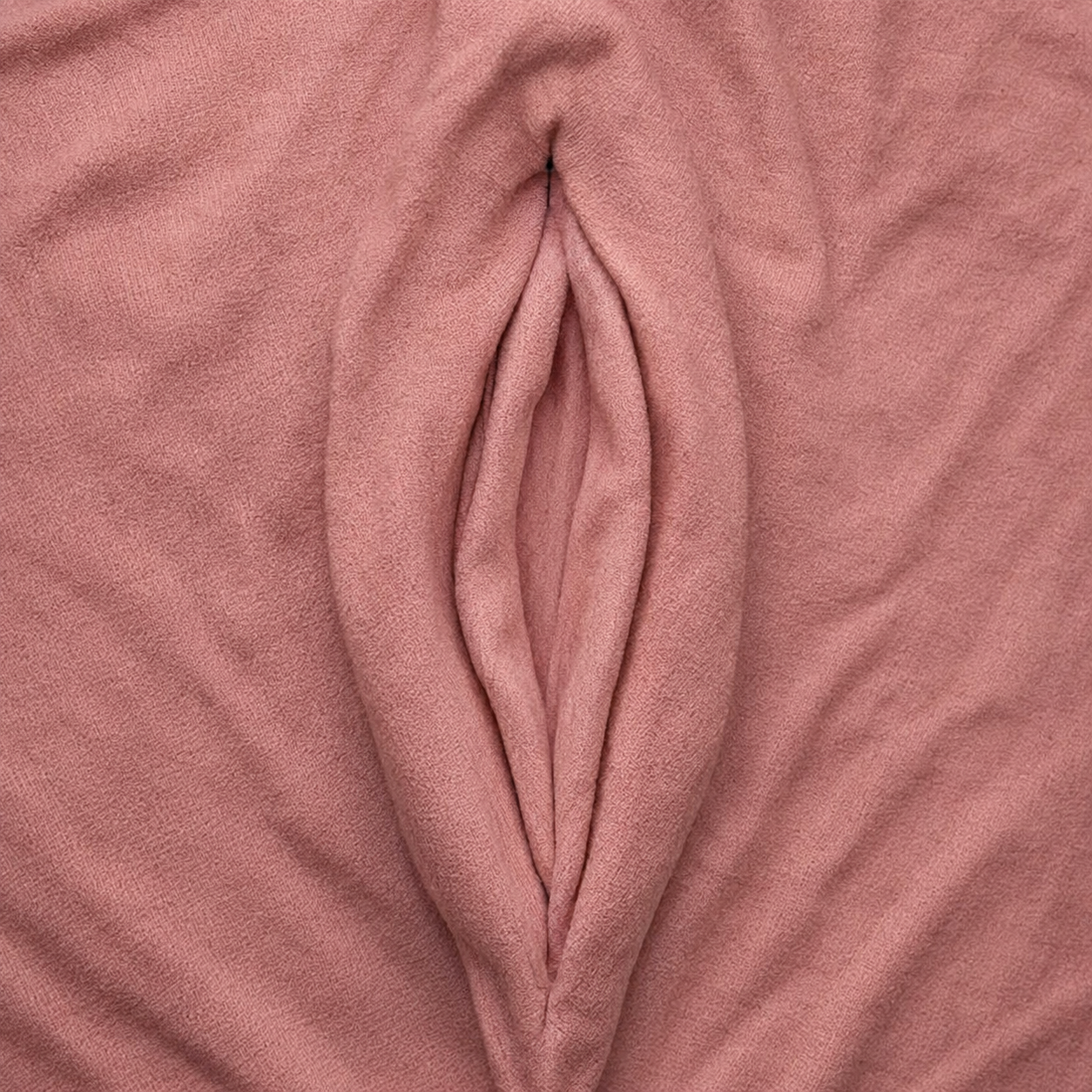 Soft abstract representation of intimate wellbeing and labiaplasty care